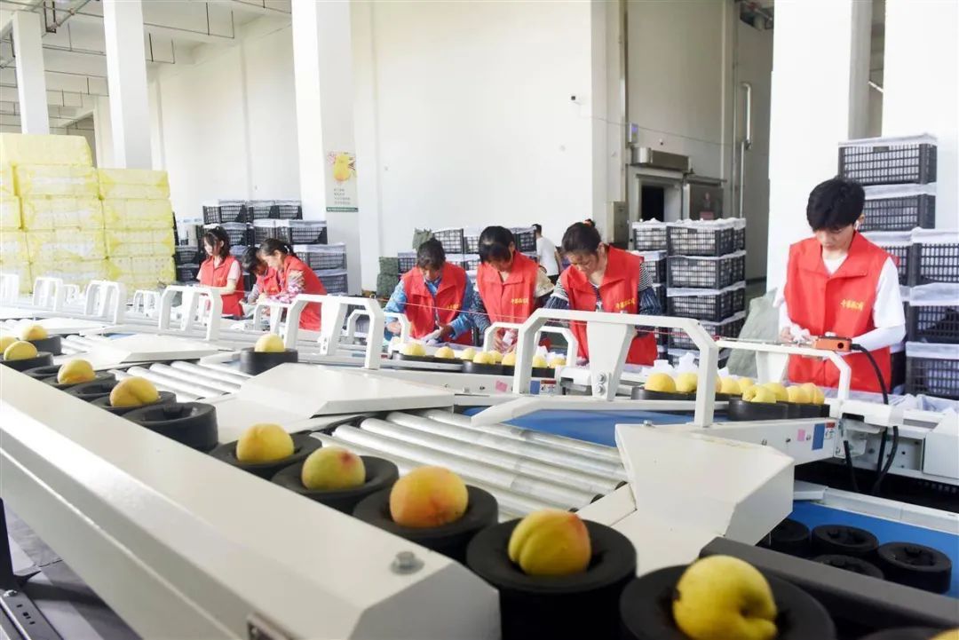 首页| 88858cc永利集团(Macau)官方网站